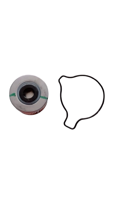 Filtro De Aceite con Junta Ignitor 125 de 5 Velocidades / M09020014 / M0903006