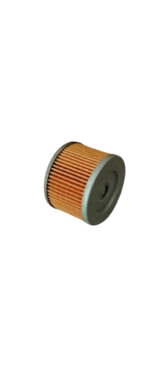 Filtro Aceite Benelli TNT 150I /Y10030011