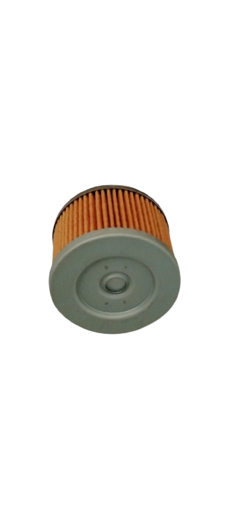 Filtro Aceite Benelli TNT 150I /Y10030011