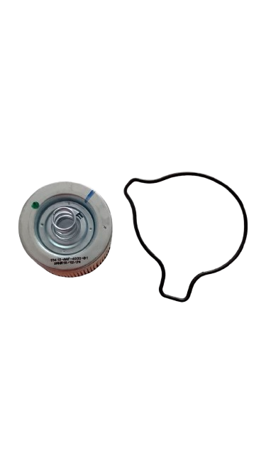 Filtro De Aceite con Junta Ignitor 125 de 5 Velocidades / M09020014 / M0903006