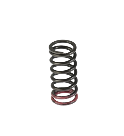 Resorte Embrague / Hunk 190R/ Xpulse 200/ Xpulse 200T/ Xpulse 200X/ Xpulse 200FI/ M13060004