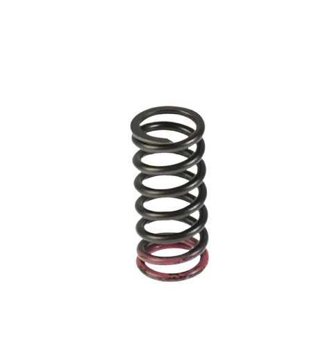 Resorte Embrague / Hunk 190R/ Xpulse 200/ Xpulse 200T/ Xpulse 200X/ Xpulse 200FI/ M13060004