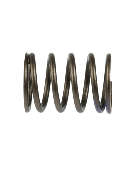Resorte Embrague Ignitor 125/ M13060006