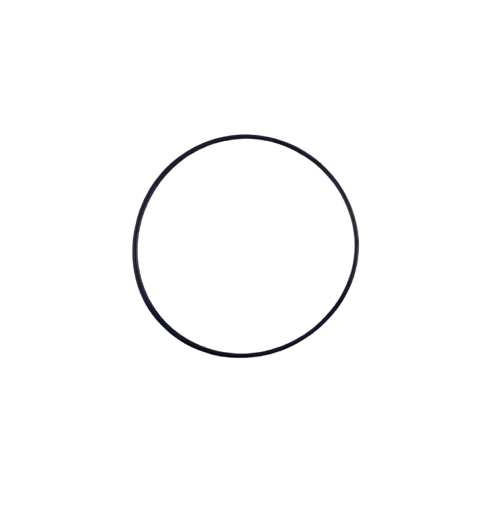 O-RING D=75 d=2.5 / E02030103