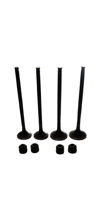 KIT DE VALVULAS HUNK XTREME 160R 4V / M04050057/M04050058/M04020004