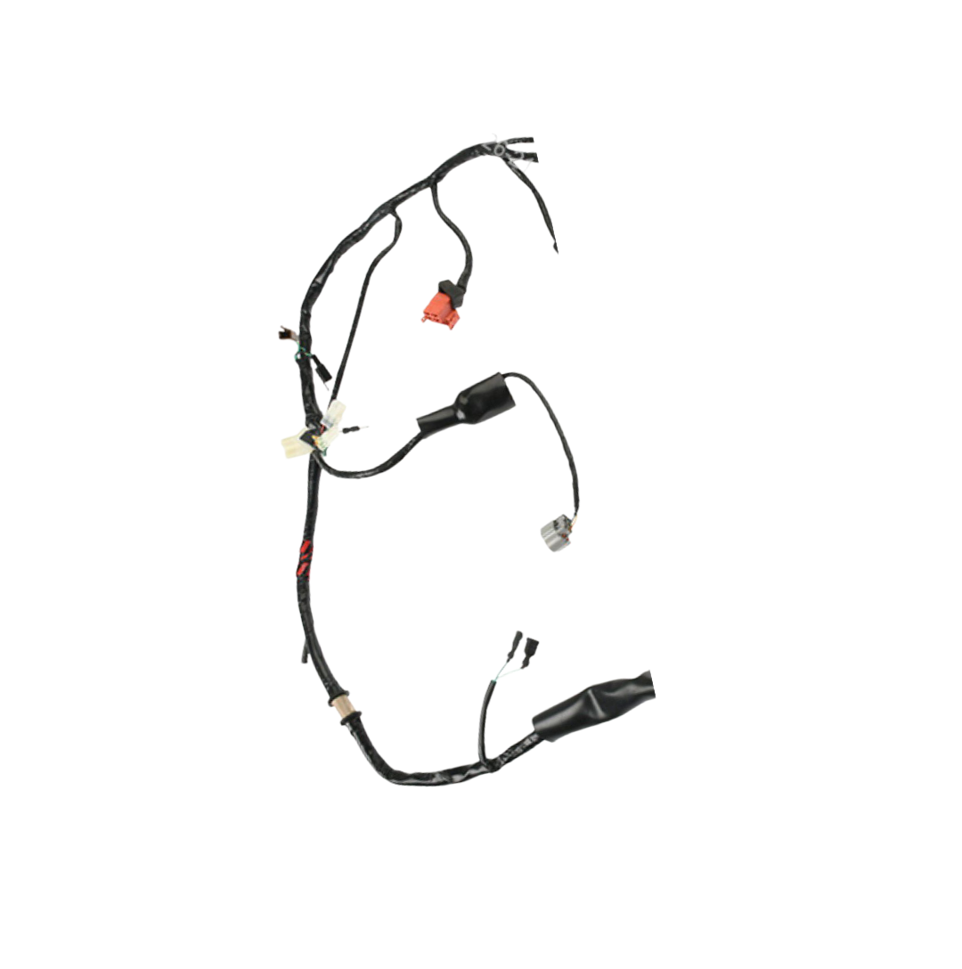 Arnes Principal / C06050024