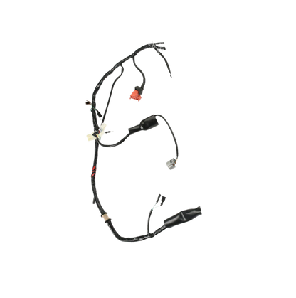 Arnes Principal / C06050024