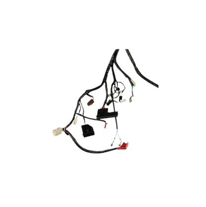 Arnes Principal / C06050028