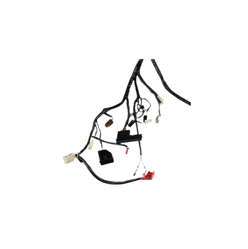 Arnes Principal / C06050028