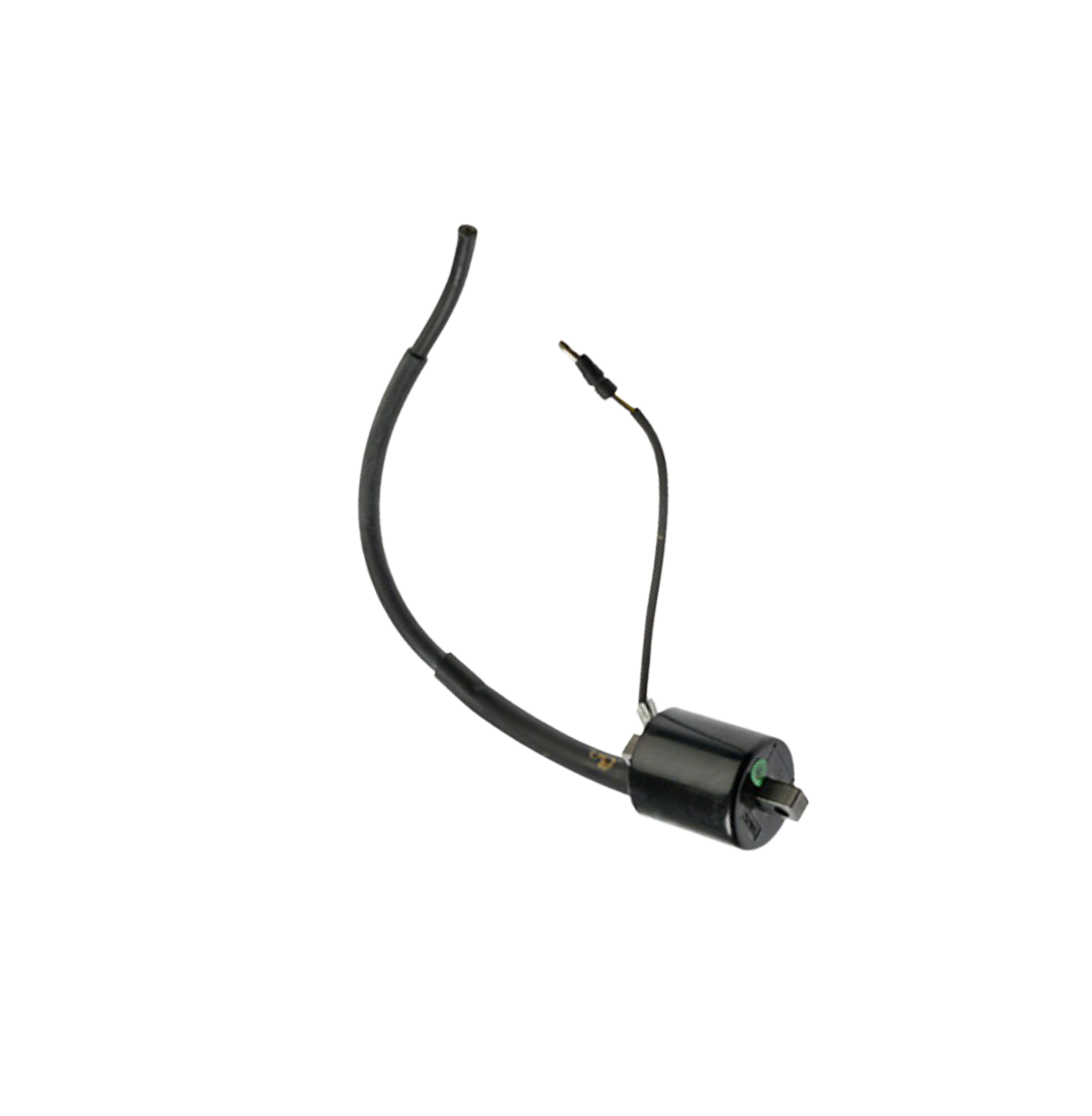 Bobina Ignicion / C06060011