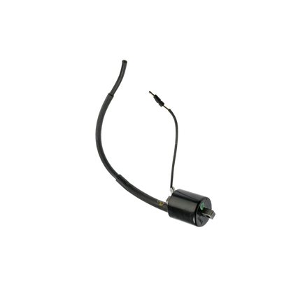 Bobina Ignicion / C06060011