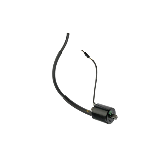 Bobina Ignicion / C06060011