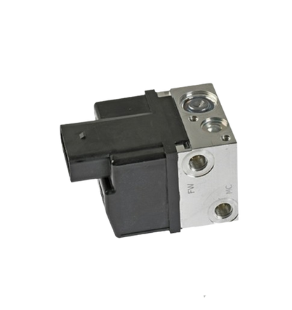 Unidad Control ABS / C06070009