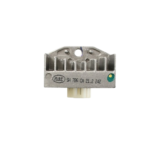 Regulador Rectificador / C06030003