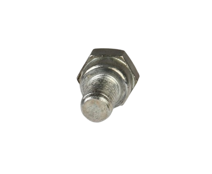 Tornillo Placa Sujetadora  / M06040001