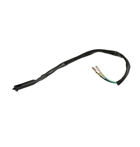 Interruptor Freno Del / C06020021