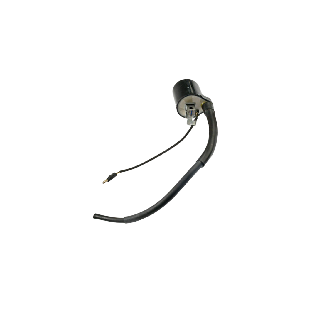 Bobina Ignicion / C06060011