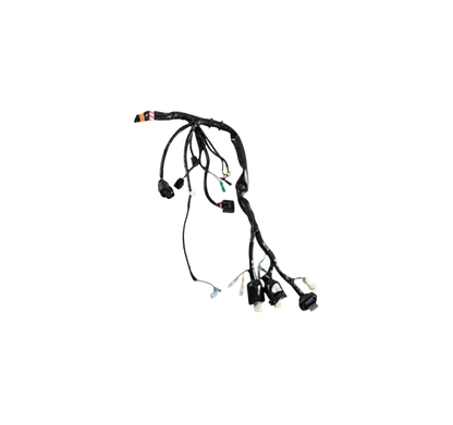 Arnes Principal / C06050004