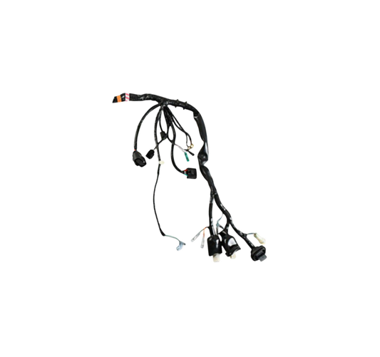 Arnes Principal / C06050004