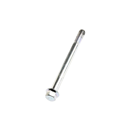 Tornillo M10X110  / C05030007