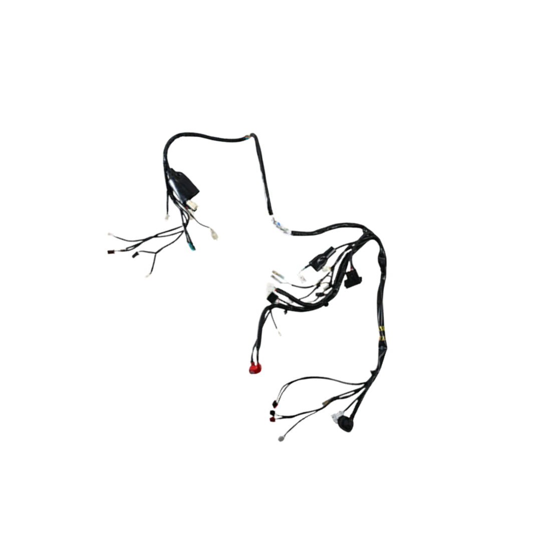 Arnes Principal / C06050038