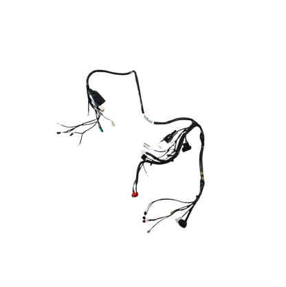 Arnes Principal / C06050038