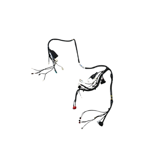 Arnes Principal / C06050038