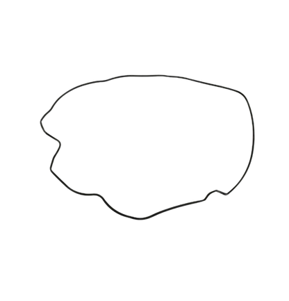 Junta Filtro Aire / C08010004