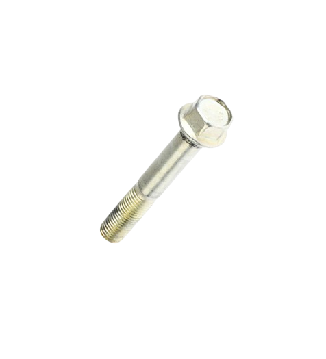 Tornillo M10X65 / C02070006