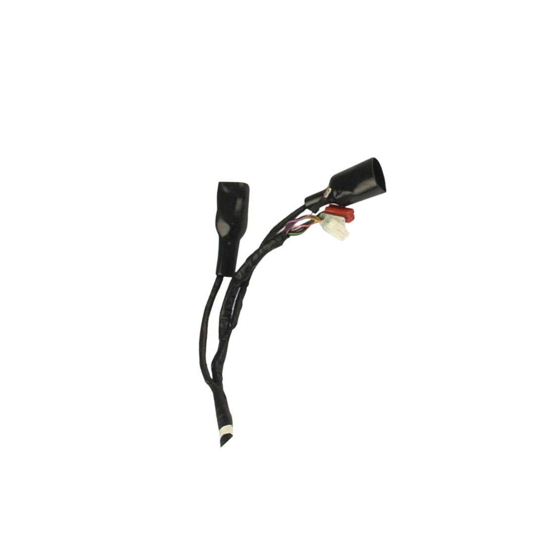 Arnes Principal / C06050017