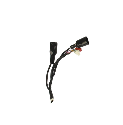 Arnes Principal / C06050017