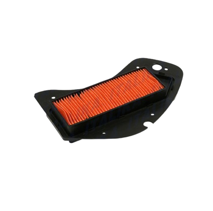Elemento Filtrante / F08010154