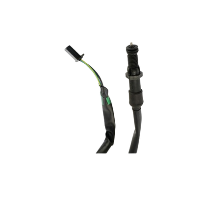 Interruptor Freno Tras / C06020017