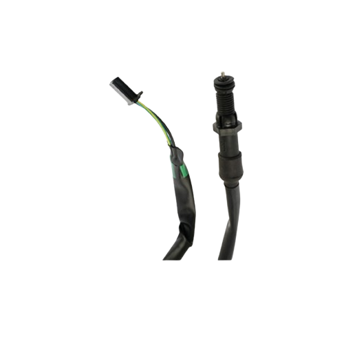 Interruptor Freno Tras / C06020017