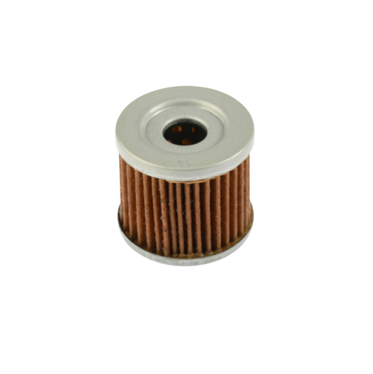 Filtro Aceite / Y09020002