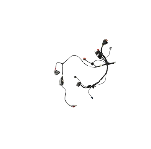 Arnes Principal / C06050004