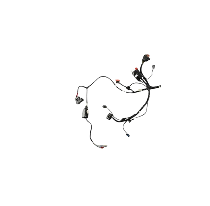 Arnes Principal / C06050004