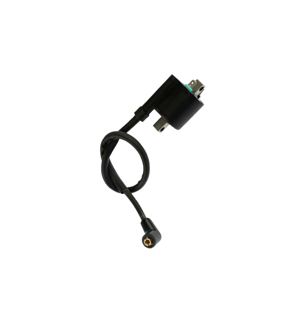 Bobina Ignicion / C06060010