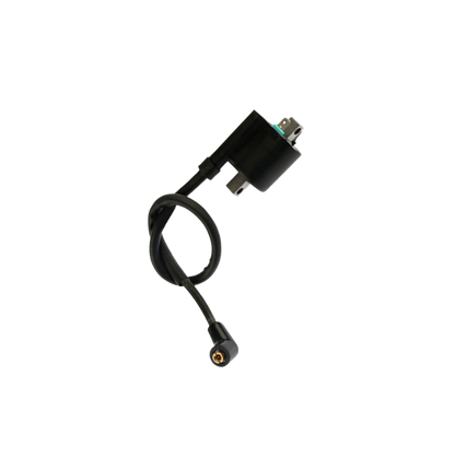 Bobina Ignicion / C06060010