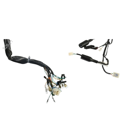 Arnes Principal / C06050024