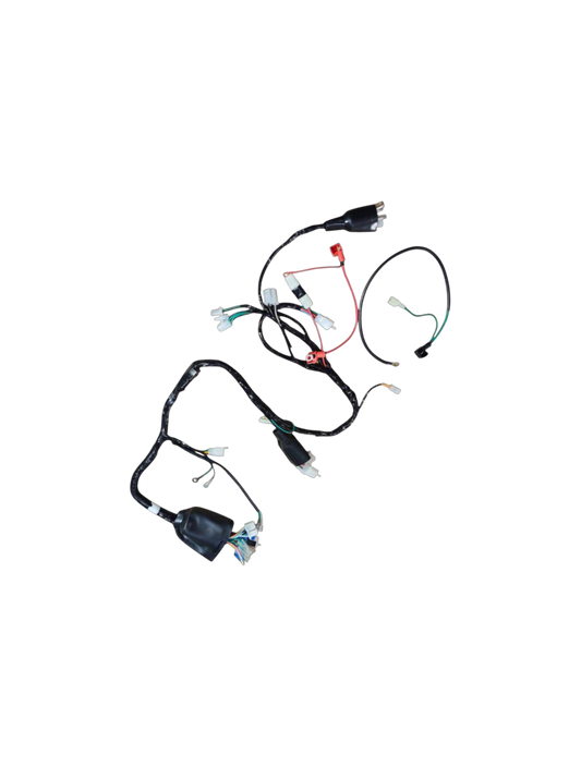 Arnes Principal / VC02050091