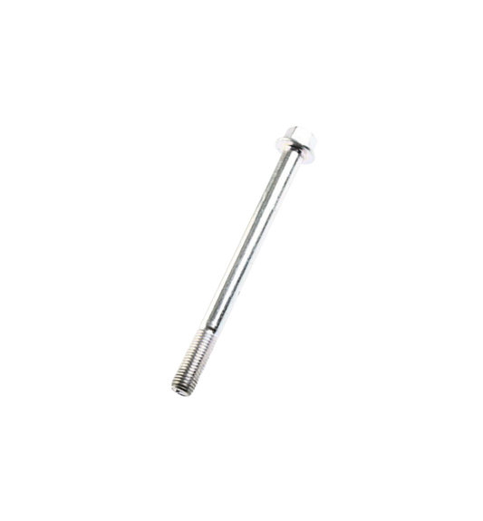 Tornillo M10X110  / C05030007