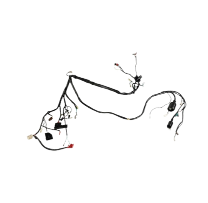 Arnes Principal / C06050028