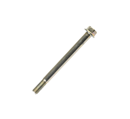 Tornillo M10X110 / C05030002