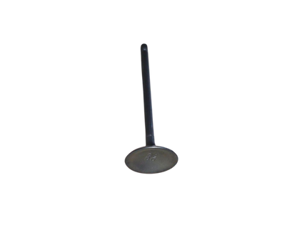Válvula De Admision / VM01050047