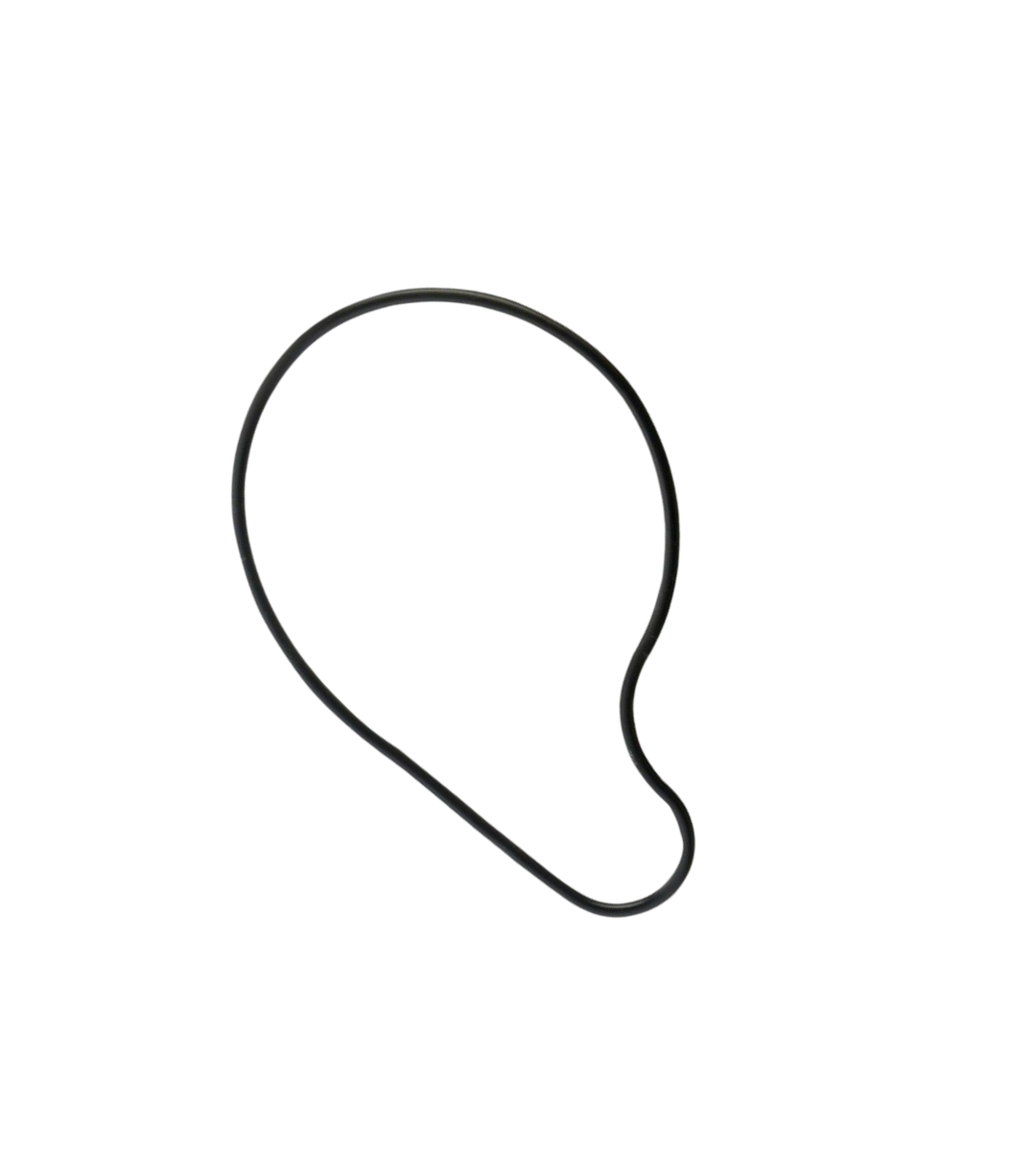 Empaque Bomba De Agua Benelli TNT 25N / Y10030002