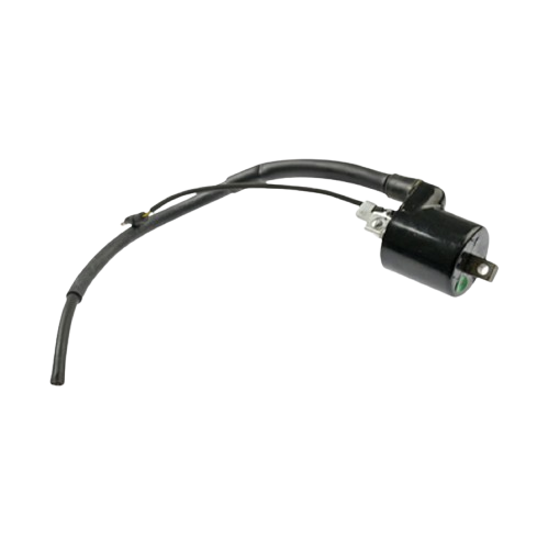 Bobina Ignicion / C06060011