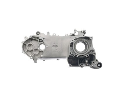 Componente Carter Izq / M07010013