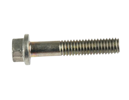 Tornillo M6X30 / M10060005