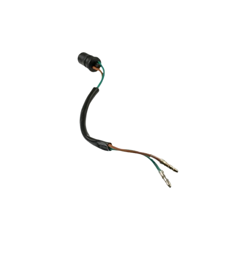 Arnes Faro / C06050027